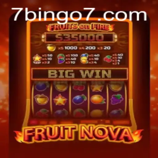 Exploring the Fascinating World of FruitNova and the Exciting BINGO7 Aspect